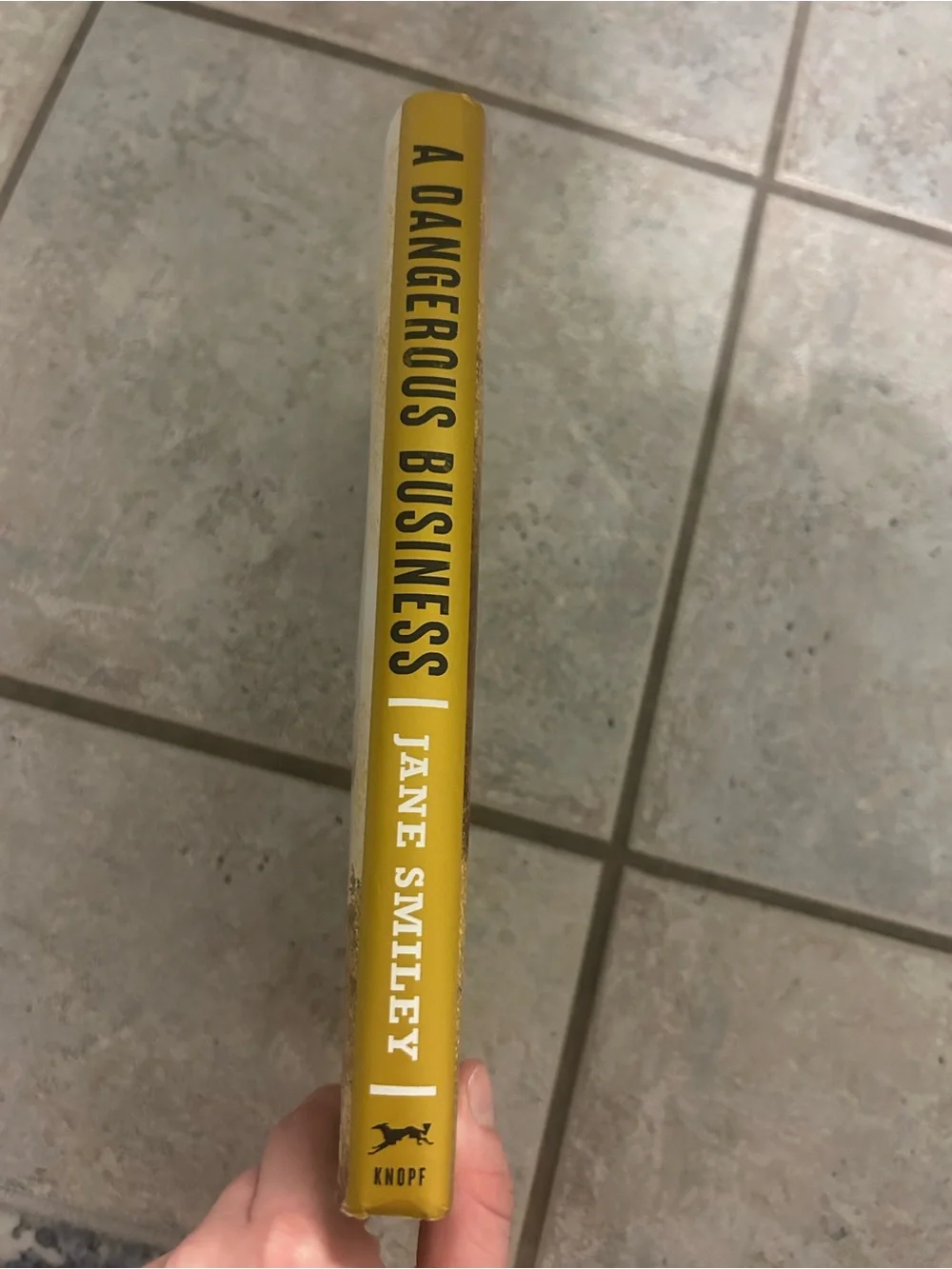 A Dangerous Business by - Hardcover Novel (Green, Black)